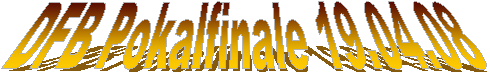DFB Pokalfinale 19.04.08